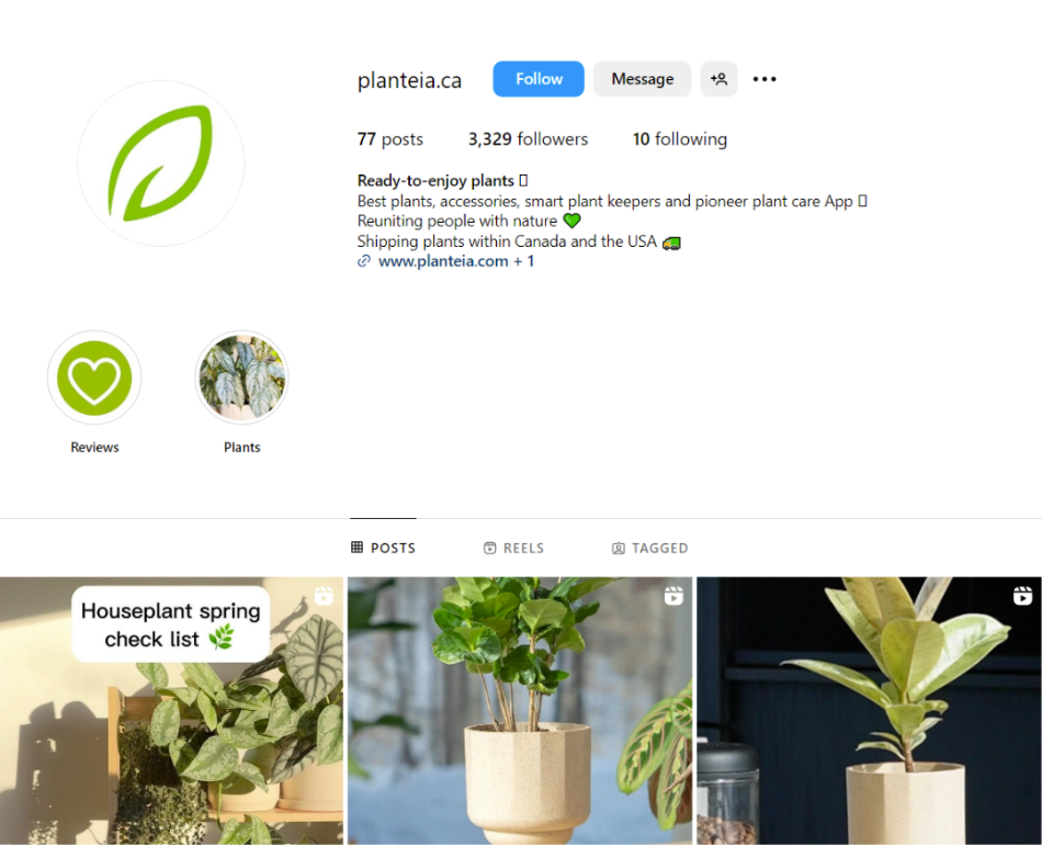 planteia instagram feed